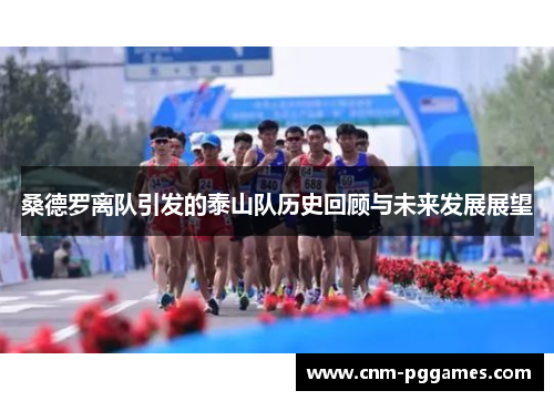 桑德罗离队引发的泰山队历史回顾与未来发展展望