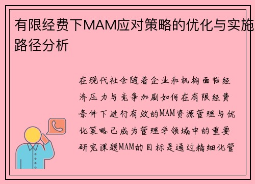 有限经费下MAM应对策略的优化与实施路径分析