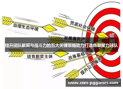 提升团队默契与战斗力的五大关键策略助力打造高凝聚力球队