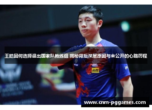 王皓因何选择退出国家队教练组 揭秘背后深层原因与未公开的心路历程
