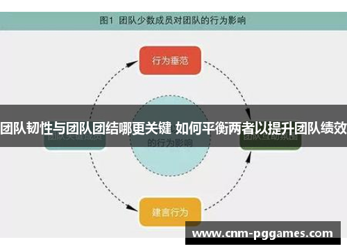 团队韧性与团队团结哪更关键 如何平衡两者以提升团队绩效