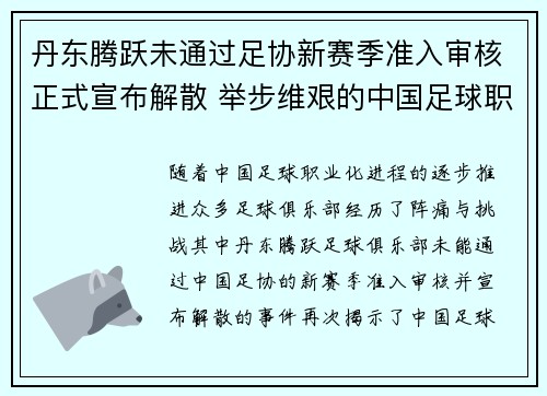 丹东腾跃未通过足协新赛季准入审核正式宣布解散 举步维艰的中国足球职业化困境再现